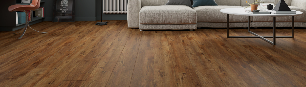 Lions Floor category header image