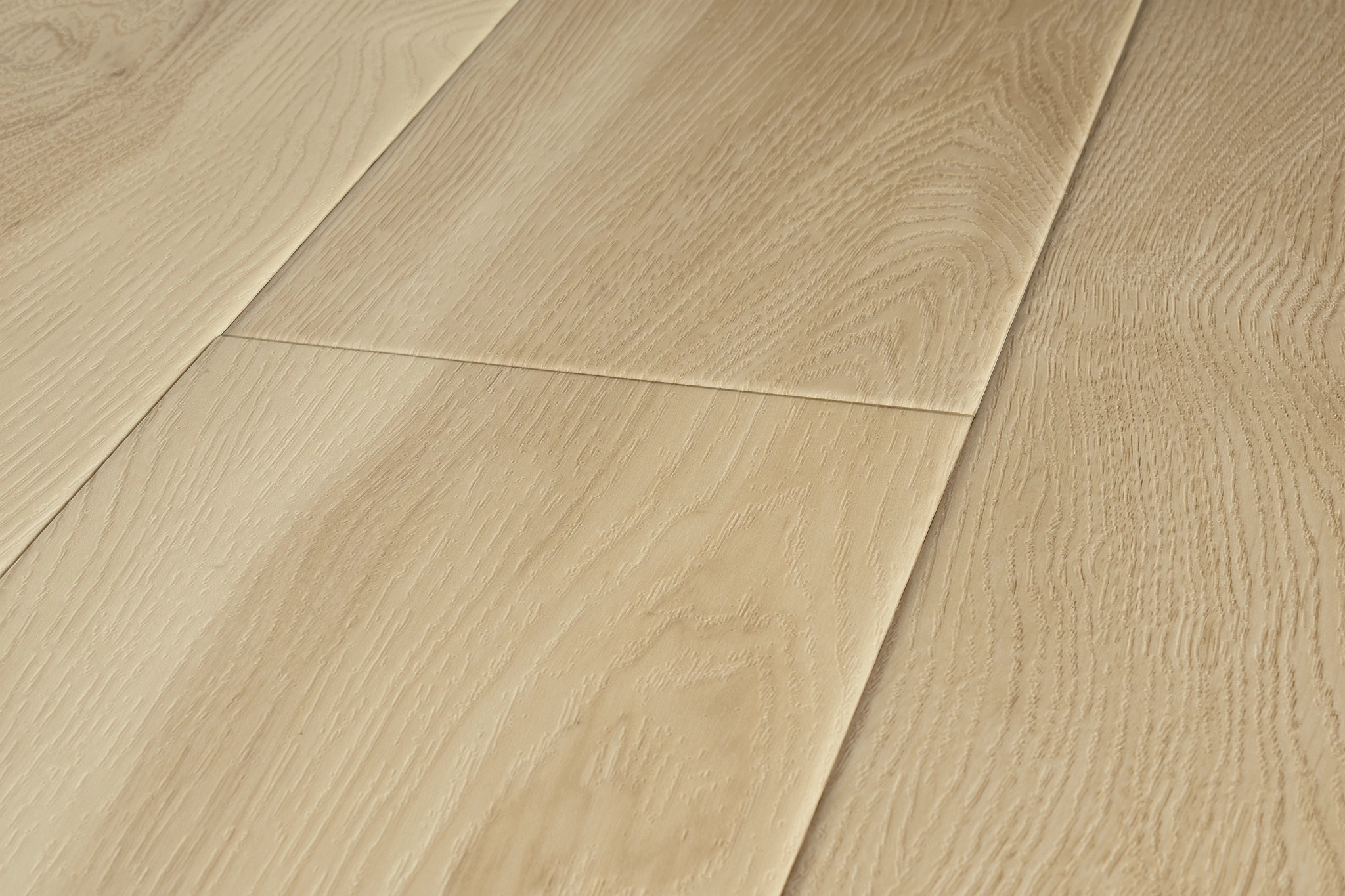 coretex bevel 
